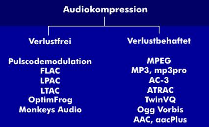 Verlustbehaftete vs. verlustfreie Komprimierung: Was ist der Unterschied? Verlustbehaftete vs. verlustfreie Komprimierung: Was ist der Unterschied?