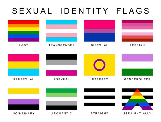 Die Vielfalt der LGBT-Flaggen: Bedeutungen und Ursprünge Die Vielfalt der LGBT-Flaggen: Bedeutungen und Ursprünge