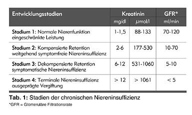 Wie der GFR-Blutwert die Stadien einer chronischen Nierenerkrankung bestimmt Wie der GFR-Blutwert die Stadien einer chronischen Nierenerkrankung bestimmt