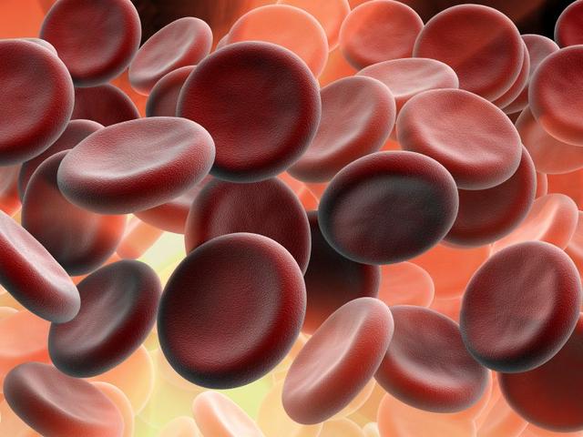 Die Bedeutung des MCV-Werts im Blutbild: Erklärung und Zusammenhang mit Alkoholkonsum