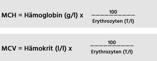 Verstehen Sie den MCV-Blutwert: Wichtige Informationen zur Diagnose von Anämien