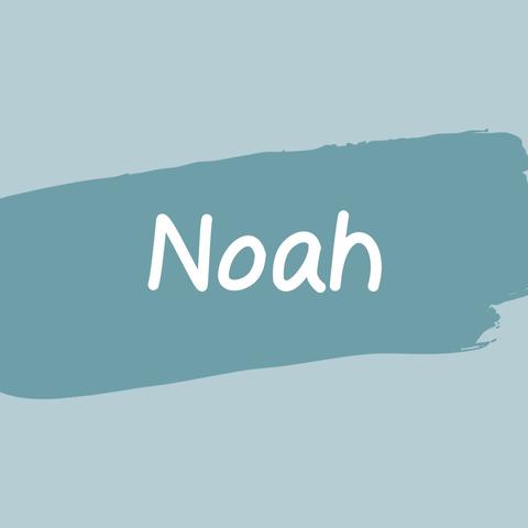 Die Bedeutung des Namens Noah: Trost und Ruhe schaffen