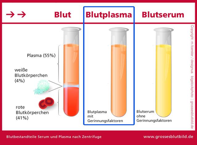 Die Rolle des Blutplasmas im menschlichen Körper Die Rolle des Blutplasmas im menschlichen Körper