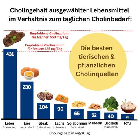 Cholin in Lebensmitteln: Wo findet man diesen wichtigen Nährstoff?