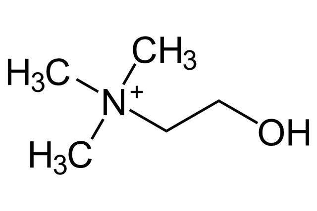 Cholin: Funktionen und Wirkung im Körper