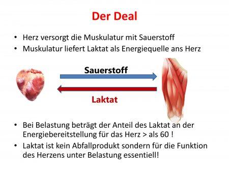 Laktat im Blut: Was es ist und warum es gemessen wird Laktat im Blut: Was es ist und warum es gemessen wird