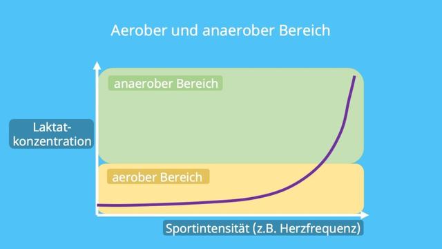 Die Bedeutung von Laktat: Erkennung von Sauerstoffmangel im Gewebe - Sieu Thi Do Noi That