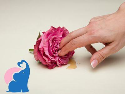 "NNN für Mädchen: Die Bedeutung und Regeln erklärt" "NNN für Mädchen: Die Bedeutung und Regeln erklärt"