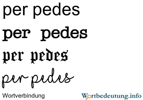 Die Bedeutung von "per pedes" im Kontext der Fortbewegung