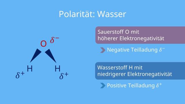 Was bedeutet es, wenn etwas polarisiert?