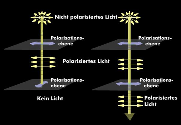 Wie entsteht Polarisierung und was bedeutet es?