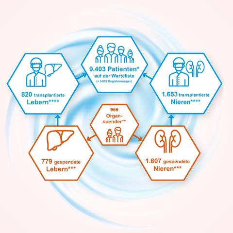 Die Herausforderungen bei Transplantationen: Verfügbarkeit passender Spenderorgane Die Herausforderungen bei Transplantationen: Verfügbarkeit passender Spenderorgane