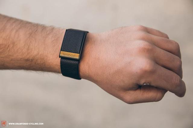 Einblicke in die Bedeutung von "Whoop Whoop": Aktuelle Erklärungen