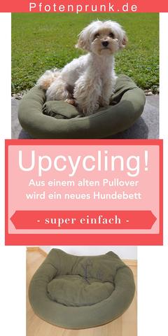 Upcycling-Ideen: Hundebett aus alten Materialien selber bauen Upcycling-Ideen: Hundebett aus alten Materialien selber bauen
