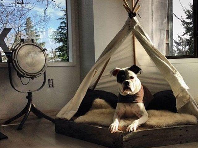 Kosteneffiziente Lösungen: Selbstgemachte Hundebetten für Terrasse und Balkon Kosteneffiziente Lösungen: Selbstgemachte Hundebetten für Terrasse und Balkon