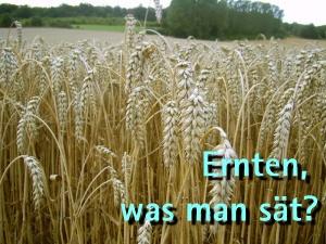 Die Konsequenzen unserer Handlungen: Ernten, was wir säen Die Konsequenzen unserer Handlungen: Ernten, was wir säen