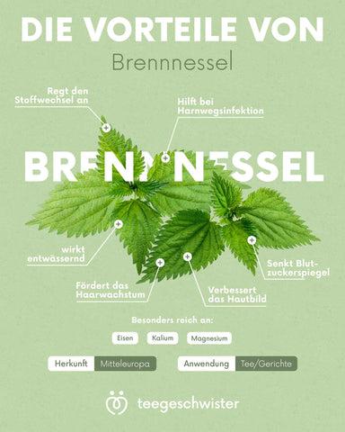 Brennnesseltee als natürlicher Heiltee: Unterstützung bei bestimmten Erkrankungen Brennnesseltee als natürlicher Heiltee: Unterstützung bei bestimmten Erkrankungen