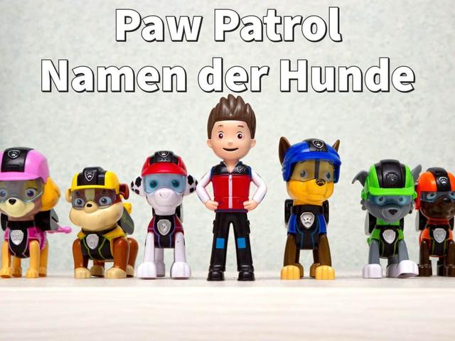 Wer sind die Hauptcharaktere in Paw Patrol? Die Namen der Hunde enthüllt!