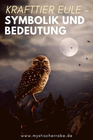 Die spirituelle Kraft der Eule: Weisheit, Besonnenheit und göttliche Führung