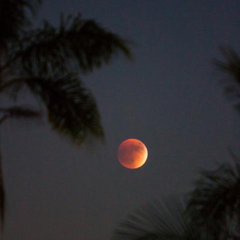 Spirituelle Impulse des Blutmonds im Jahr 2022: Die Dunkelheit erkunden und transformieren Spirituelle Impulse des Blutmonds im Jahr 2022: Die Dunkelheit erkunden und transformieren