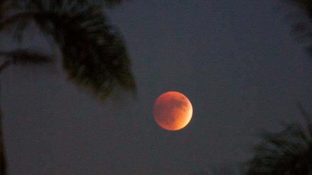 Die spirituelle Bedeutung des Blutmonds 2022: Tiefgreifende Veränderungen und Enthüllungen Die spirituelle Bedeutung des Blutmonds 2022: Tiefgreifende Veränderungen und Enthüllungen