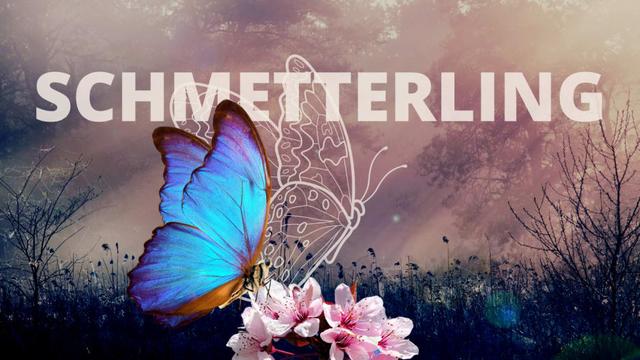 Das Krafttier Schmetterling in der schamanischen Tradition erklärt Das Krafttier Schmetterling in der schamanischen Tradition erklärt