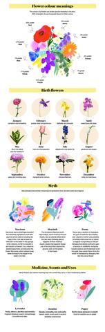 Blumen und ihre symbolische Bedeutung in spirituellen Traditionen Blumen und ihre symbolische Bedeutung in spirituellen Traditionen