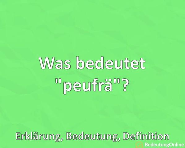 Von TikTok zum Mainstream: Wie "Mein Löwe, mein Bär" zum Synonym für Liebe wurde Von TikTok zum Mainstream: Wie "Mein Löwe, mein Bär" zum Synonym für Liebe wurde