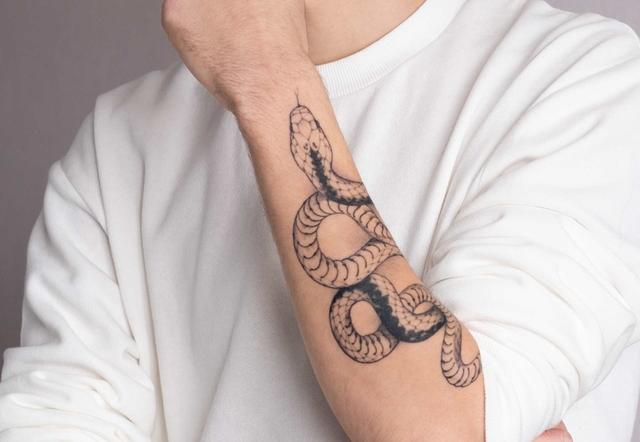 Schlange als Tattoo: Ambivalente Bedeutung und kreative Vorhaben im Jahr 2013 Schlange als Tattoo: Ambivalente Bedeutung und kreative Vorhaben im Jahr 2013
