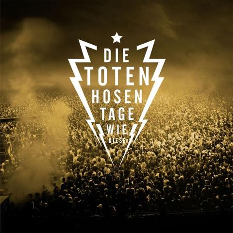 "Tage wie diese" von Die Toten Hosen: Der Text im Detail erklärt "Tage wie diese" von Die Toten Hosen: Der Text im Detail erklärt