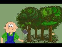 Herkunft und Bedeutung der Redewendung "Holla, die Waldfee" Herkunft und Bedeutung der Redewendung "Holla, die Waldfee"