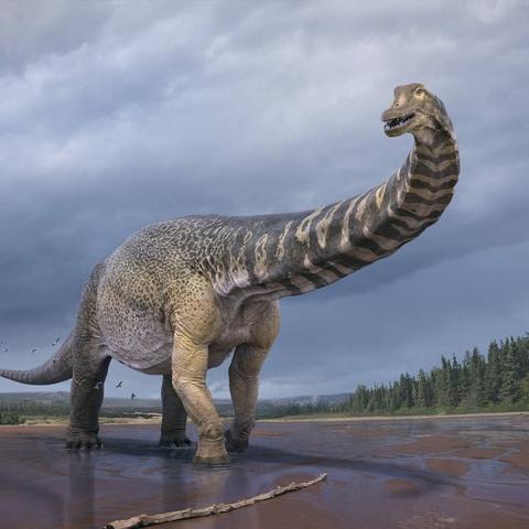 Die Verantwortung des Menschen für das Aussterben der Dinosaurier Die Verantwortung des Menschen für das Aussterben der Dinosaurier