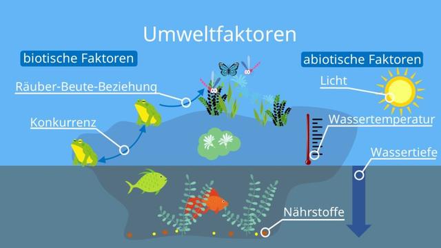 Die Rolle der biotischen Faktoren bei der Entwicklung und Ausbreitung von Arten