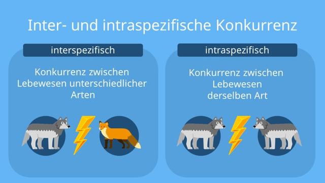 Die verschiedenen Arten von biotischen Umweltfaktoren und ihre Merkmale