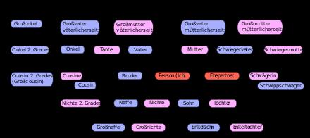 Was bedeutet der Cousin meines Vaters für meine Familienbeziehungen?