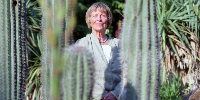 Weiblicher Masochismus: Eine Folge gesellschaftlicher Normen? Weiblicher Masochismus: Eine Folge gesellschaftlicher Normen?