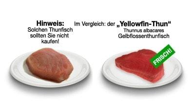 Nahrungsmittel mit hohem Histidingehalt: Thunfisch, Lachs und mehr Nahrungsmittel mit hohem Histidingehalt: Thunfisch, Lachs und mehr