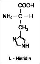 Warum Histidin essenziell für Kinder ist und bei Erwachsenen Mangelerscheinungen verursachen kann Warum Histidin essenziell für Kinder ist und bei Erwachsenen Mangelerscheinungen verursachen kann