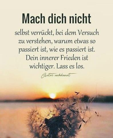 Was wirklich zählt im Leben: Starke Gedanken und inspirierende Sprüche Was wirklich zählt im Leben: Starke Gedanken und inspirierende Sprüche