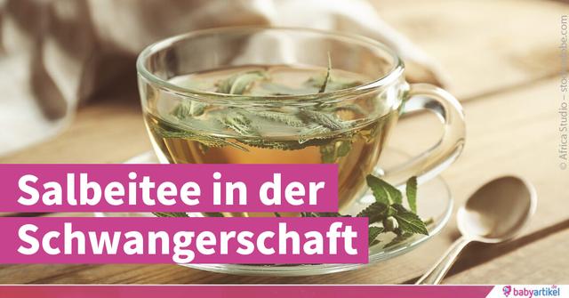 5. Salbeitee während der Schwangerschaft und Stillzeit meiden, aber zum Abstillen geeignet 5. Salbeitee während der Schwangerschaft und Stillzeit meiden, aber zum Abstillen geeignet