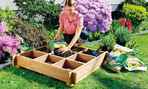 Kräutergarten selbst gestalten: Tipps und Tricks zum Selberbauen Kräutergarten selbst gestalten: Tipps und Tricks zum Selberbauen