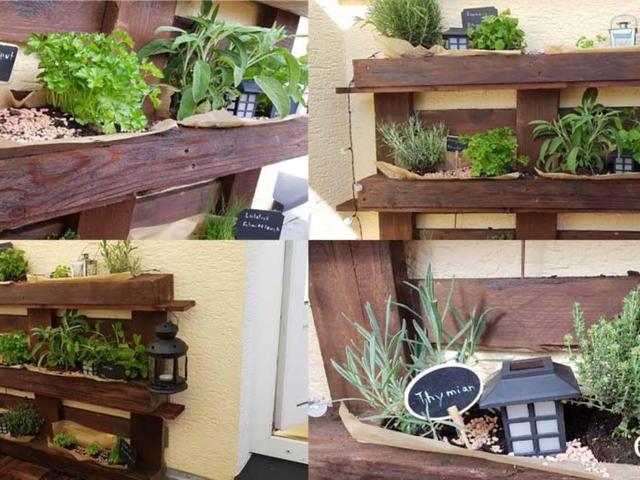 Nachhaltige Gartenprojekte: Ein umweltfreundliches Kräuterbeet selber machen Nachhaltige Gartenprojekte: Ein umweltfreundliches Kräuterbeet selber machen