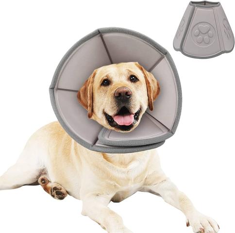 Schonender Leckschutz: Wie du einen selbstgemachten Halskragen für deinen Hund anfertigen kannst Schonender Leckschutz: Wie du einen selbstgemachten Halskragen für deinen Hund anfertigen kannst