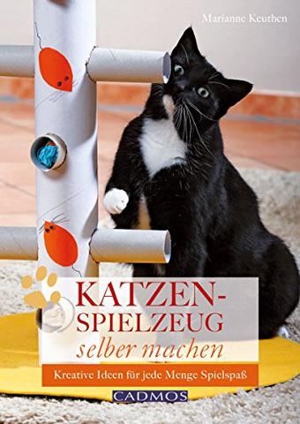 Einfache Anleitungen: Spielzeug für Katzen selber basteln und Spaß haben Einfache Anleitungen: Spielzeug für Katzen selber basteln und Spaß haben