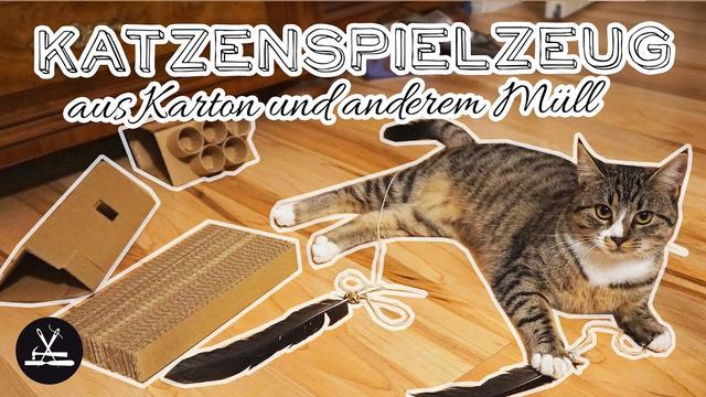 Spaß ohne teures Spielzeug: DIY-Katzenspielzeug aus Haushaltsmaterialien Spaß ohne teures Spielzeug: DIY-Katzenspielzeug aus Haushaltsmaterialien