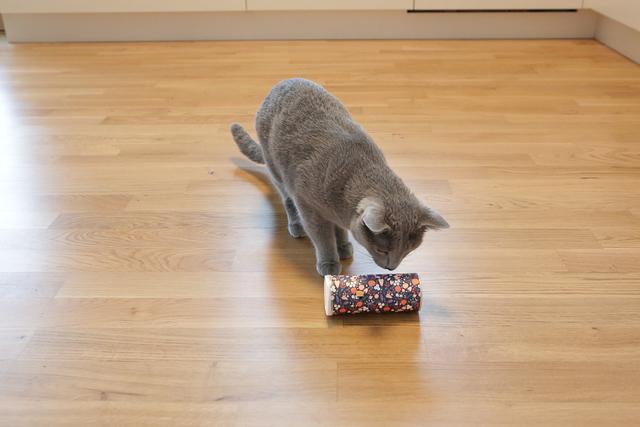 Langlebiges Vergnügen: Robustes DIY-Spielzeug für den Spiel- und Jagdtrieb von Katzen Langlebiges Vergnügen: Robustes DIY-Spielzeug für den Spiel- und Jagdtrieb von Katzen