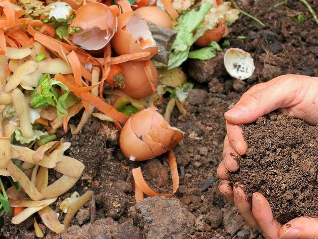 Fertigen Kompostbeschleuniger kaufen oder selbst herstellen? Vor- und Nachteile im Überblick Fertigen Kompostbeschleuniger kaufen oder selbst herstellen? Vor- und Nachteile im Überblick