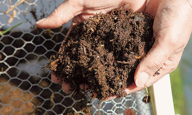 Thermokomposter als Alternative zum selbstgemachten Kompostbeschleuniger: Schneller fertigen Kompost erhalten Thermokomposter als Alternative zum selbstgemachten Kompostbeschleuniger: Schneller fertigen Kompost erhalten