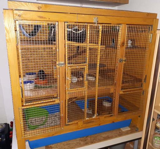 Erfolgreiche DIY Rattenkäfig Projekte: Inspirationen und Tipps für den Eigenbau Erfolgreiche DIY Rattenkäfig Projekte: Inspirationen und Tipps für den Eigenbau