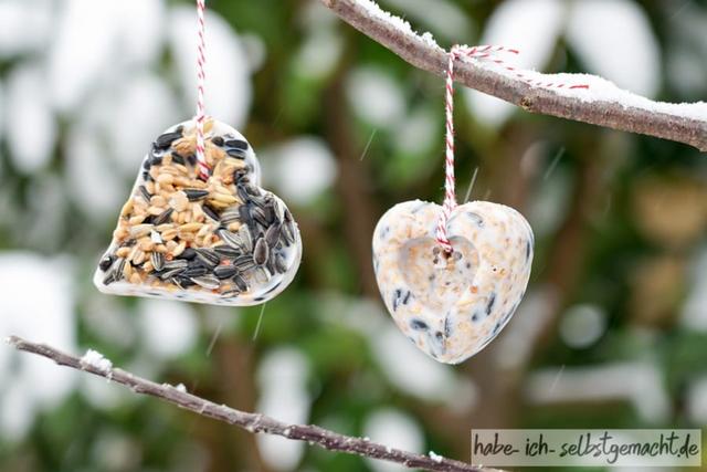 Vogelfutter selber herstellen und den Piepmätzen durch den Winter helfen Vogelfutter selber herstellen und den Piepmätzen durch den Winter helfen